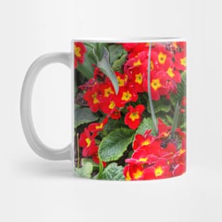 Early Primulas Mug